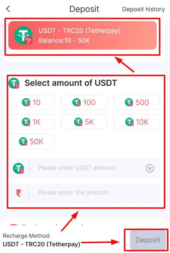 Enter the USDT amount shown in rupees
